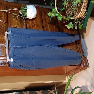 💚Reitmans Denim Slim Jeans Size 16 Petite NWT